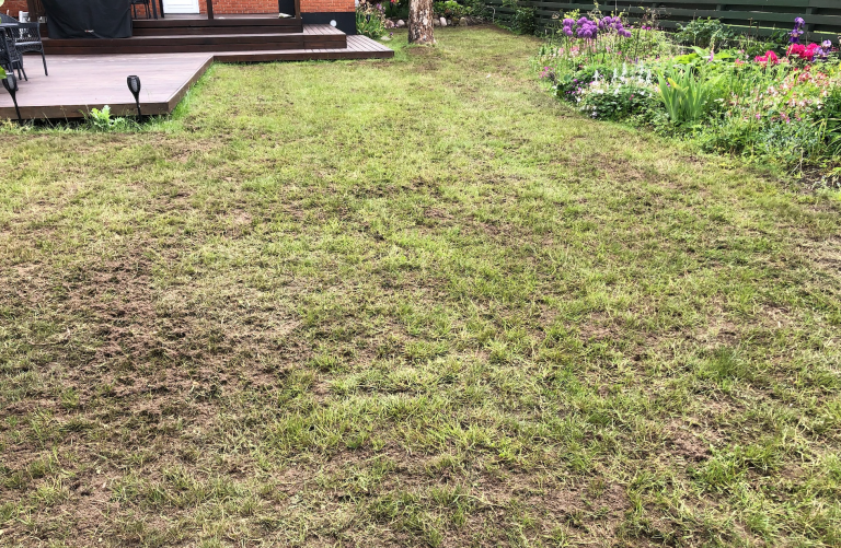 Topdressing